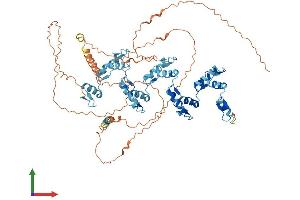 AlphaFold protein structure predicition of Human Recombinant ZNF180 Protein, UniprotID Q9UJW8 (ZNF180 Protein (AA 1-692) (His tag))