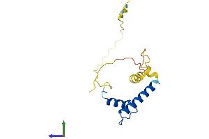 Protein Structure (PS) image for Inhibitor of DNA Binding 2 (Id2) (AA 1-134) protein (His tag) (ABIN7563221)