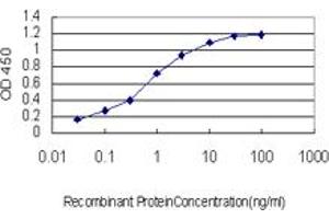 Detection limit for recombinant GST tagged ACAA2 is approximately 0. (ACAA2 抗体  (AA 151-260))