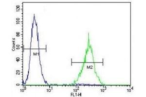 SOX1 antibody flow cytometric analysis of NCI-H460 cells (right histogram) compared to a negative control (left histogram). (SOX1 抗体  (AA 47-76))