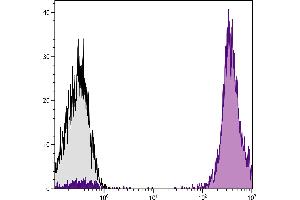 Human peripheral blood lymphocytes were stained with Mouse Anti-Human CD45-APC. (CD45 抗体)