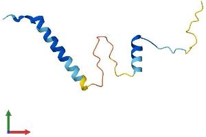 Protein Structure (PS) image for Cell Division Cycle 26 Homolog (CDC26) (AA 1-85) protein (Fc Tag) (ABIN7553266)