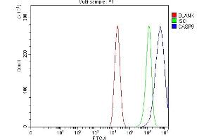 Flow Cytometry analysis of Caco-2 cells using anti-Caspase-9/CASP9 antibody (ABIN7601974).