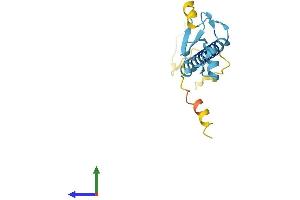 Protein Structure (PS) image for Ring Finger Protein 122 (RNF122) (AA 1-155) protein (His tag) (ABIN7558794)