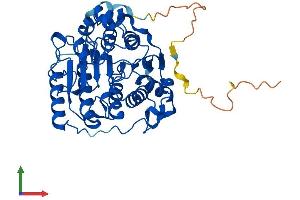Protein Structure (PS) image for Histone Deacetylase 3 (HDAC3) (AA 1-428) protein (His tag) (ABIN7554076)
