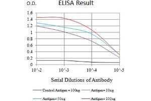 Black line: Control Antigen (100 ng),Purple line: Antigen (10 ng), Blue line: Antigen (50 ng), Red line:Antigen (100 ng) (CHRM3 抗体)