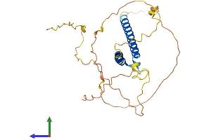 Protein Structure (PS) image for Oligodendrocyte Transcription Factor 1 (OLIG1) (AA 1-271) protein (His tag) (ABIN7550232)