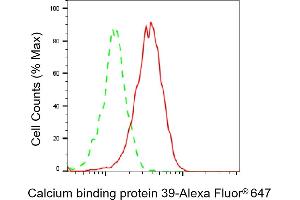 Flow cytometric analysis of Calcium binding protein 39 expression in HepG2 cells using Calcium binding protein 39 antibody (ABIN7797828), 1:2,000).
