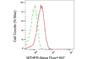Flow cytometric analysis of MTHFR expression in HeLa cells using MTHFR antibody (ABIN7799391), 1:2,000). (Recombinant MTHFR 抗体)
