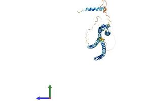 Protein Structure (PS) image for Syntaxin 18 (STX18) (AA 1-334) protein (His tag) (ABIN7559870)