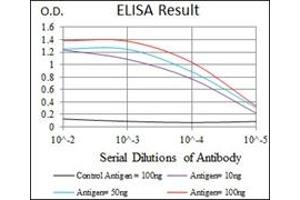 ELISA image for anti-Heat Shock Transcription Factor 4 (HSF4) antibody (ABIN1107497) (HSF4 抗体)