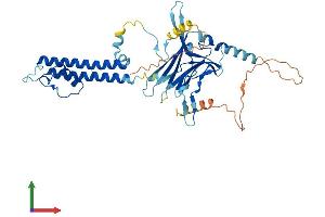 Protein Structure (PS) image for Potassium Inwardly-Rectifying Channel, Subfamily J, Member 16 (KCNJ16) (AA 1-419) protein (His tag) (ABIN7556455)