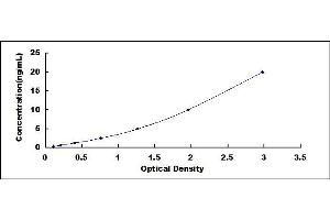 Typical standard curve (HMOX1 ELISA 试剂盒)