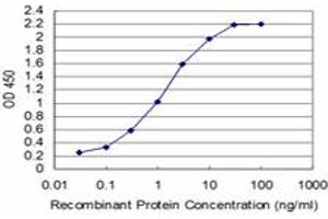 Detection limit for recombinant GST tagged T is approximately 0. (T Brachyury Protein (AA 222-320) 抗体)