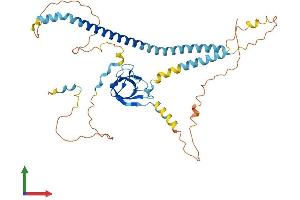Protein Structure (PS) image for Peroxisomal Biogenesis Factor 13 (PEX13) (AA 1-405) protein (His tag) (ABIN7560838)