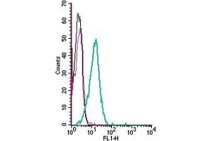 Cell surface detection of NKCC1 by indirect flow cytometry in live intact human  monocytic leukemia cells: + goat-anti-rabbit-FITC.