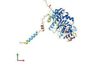Protein Structure (PS) image for Glucosaminyl (N-Acetyl) Transferase Family Member 7 (GCNT7) (AA 1-433) protein (His tag) (ABIN7557358)