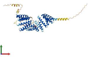 Protein Structure (PS) image for Tetratricopeptide Repeat Domain 23 (TTC23) (AA 1-488) protein (His tag) (ABIN7559352)