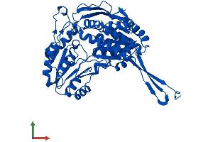 Protein Structure (PS) image for Aldehyde Dehydrogenase 9 Family, Member A1 (ALDH9A1) (AA 1-494) protein (His tag) (ABIN7551968)