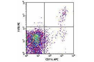 Flow Cytometry (FACS) image for anti-Toll-Like Receptor 3 (TLR3) antibody (PE) (ABIN2662574) (TLR3 抗体  (PE))