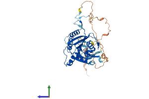 Protein Structure (PS) image for Methyltransferase Like 22 (METTL22) (AA 1-404) protein (His tag) (ABIN7549400)
