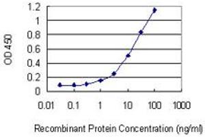Detection limit for recombinant GST tagged PARD3 is 0. (PARD3 抗体  (AA 181-290))