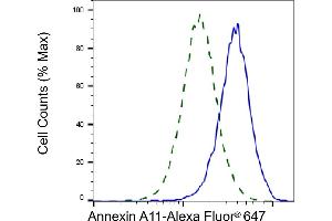 Validation of Annexin A11 knockdown using flow cytometry. (Annexin A11 抗体)