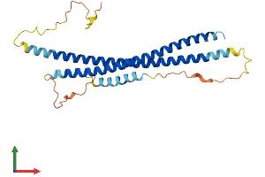 Protein Structure (PS) image for Synaptosomal-Associated Protein, 29kDa (SNAP29) (AA 1-258) protein (His tag) (ABIN7546137)