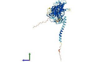 AlphaFold protein structure predicition of Mouse Recombinant Dgke Protein, UniprotID Q9R1C6
