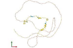 Protein Structure (PS) image for Cylicin, Basic Protein of Sperm Head Cytoskeleton 2 (CYLC2) (AA 1-348) protein (His tag) (ABIN7546879)