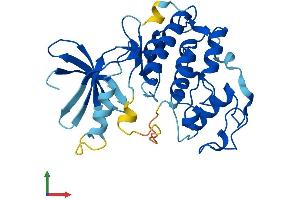 Protein Structure (PS) image for Cyclin-Dependent Kinase 1 (CDK1) (AA 1-297) protein (His tag) (ABIN7562839)