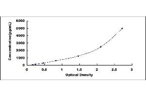 Typical standard curve (QSOX1 ELISA 试剂盒)