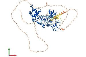 Protein Structure (PS) image for Metal Response Element Binding Transcription Factor 2 (MTF2) (AA 1-593) protein (His tag) (ABIN7563583)