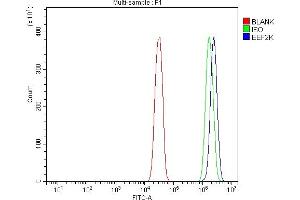 Flow Cytometry analysis of SiHa cells using anti-EEF2K antibody (ABIN7600209). (EEF2K 抗体  (AA 162-719))