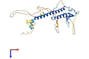 RPH3AL Protein (AA 1-315) (His tag)