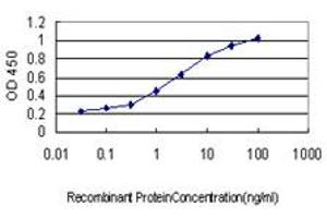 Detection limit for recombinant GST tagged ADRM1 is approximately 0. (ADRM1 抗体  (AA 18-407))