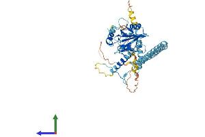 Protein Structure (PS) image for SH2 Domain Containing 4A (SH2D4A) (AA 1-454) protein (His tag) (ABIN7546166)
