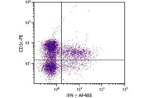 PMA and ionomycin stimulated BALB/c mouse splenocytes were stained with Rat Anti-Mouse CD3ε-PE. (Interferon gamma 抗体  (Biotin))