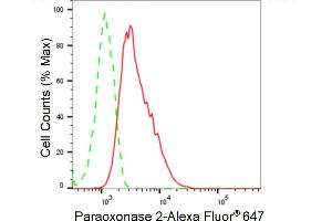 Flow cytometric analysis of Paraoxonase 2 expression in HepG2 cells using Paraoxonase 2 antibody (ABIN7799735), 1:2,000). (Recombinant PON2 抗体)