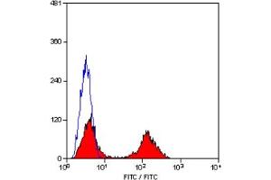 Staining of human peripheral blood lymphocytes with MOUSE ANTI HUMAN CD5:FITC (CD5 抗体  (FITC))