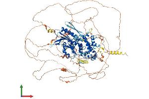 Protein Structure (PS) image for Suppression of Tumorigenicity 5 (ST5) (AA 1-1134) protein (His tag) (ABIN7564867)