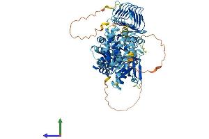 Protein Structure (PS) image for Eukaryotic Translation Initiation Factor 2B, Subunit 5 Epsilon, 82kDa (EIF2B5) (AA 1-717) protein (His tag) (ABIN7559349)