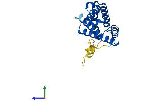 Protein Structure (PS) image for Cytoglobin (CYGB) (AA 1-190) protein (His tag) (ABIN7560705)