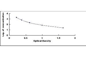 Typical standard curve