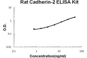 Rat Cadherin-2/N-Cadherin PicoKine ELISA Kit standard curve (N-Cadherin ELISA 试剂盒)