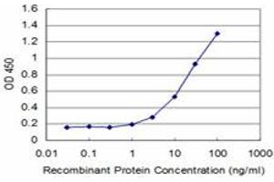 Detection limit for recombinant GST tagged FOXO1A is approximately 1ng/ml as a capture antibody. (FOXO1 抗体  (AA 556-655))