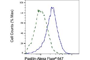 Validation of Paxillin knockdown using flow cytometry. (Recombinant Paxillin 抗体)