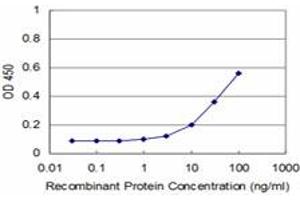 Detection limit for recombinant GST tagged OSR1 is approximately 1ng/ml as a capture antibody. (OSR1 抗体  (AA 1-100))