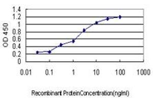 ELISA image for anti-Pre-B-Cell Leukemia Homeobox Protein 1 (PBX1) (AA 213-321) antibody (ABIN562114)