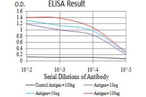 Black line: Control Antigen (100 ng);Purple line: Antigen (10ng); Blue line: Antigen (50 ng); Red line:Antigen (100 ng) (IGHA1 抗体  (AA 207-353))